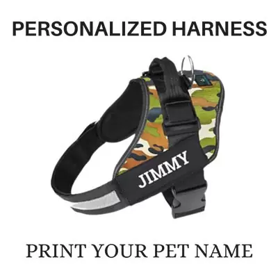 ₹ 599 ALCAZAR Personalized Dog Harness + Leash Combo Set