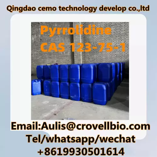 ₹ 10 Buyer Pyrrolidine bulk Liquid cas 123-75-1